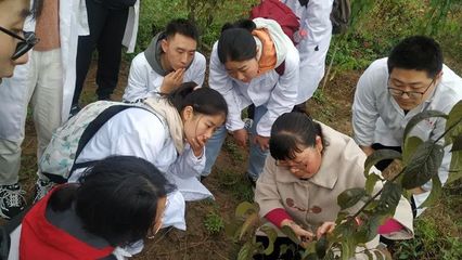 自然教育的生动实践 西北农林科技大学学子走进苗木基地开展研学实训