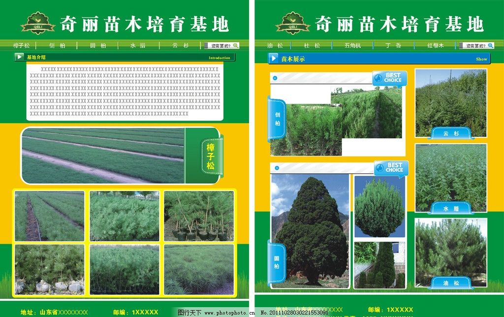 苗木培育基地图片